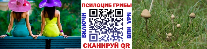 Псилоцибиновые грибы Magic Shrooms  Спас-Деменск 